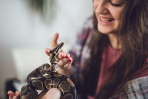 ¿A las serpientes les gusta ser mascotas y cómo sabes que les gusta?