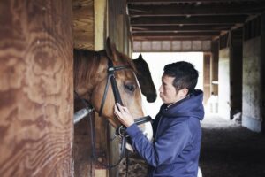 Conozca las causas comunes de muerte súbita en caballos