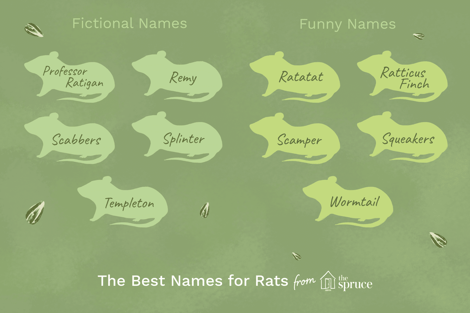 24 nombres perfectos para tu rata mascota
