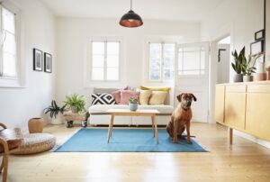 Las 15 mejores razas de perros para apartamentos o condominios