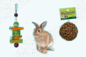 Los 8 mejores juguetes para conejos de 2022