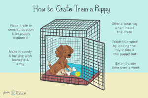 illustration of how to crate train a puppy