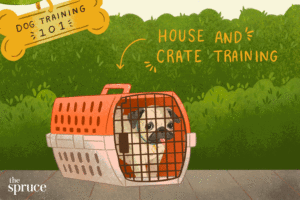 Illustrated gif depicting different types of dog training including clicker training, crate training, and basic commands