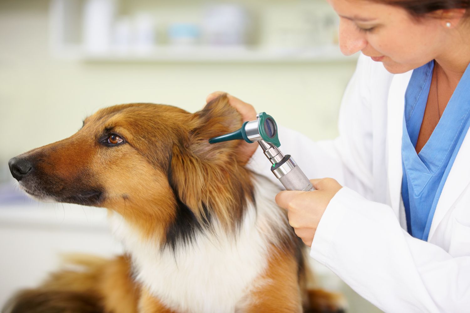 Time for his yearly check-up