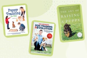 Los 7 mejores libros de adiestramiento canino de 2022
