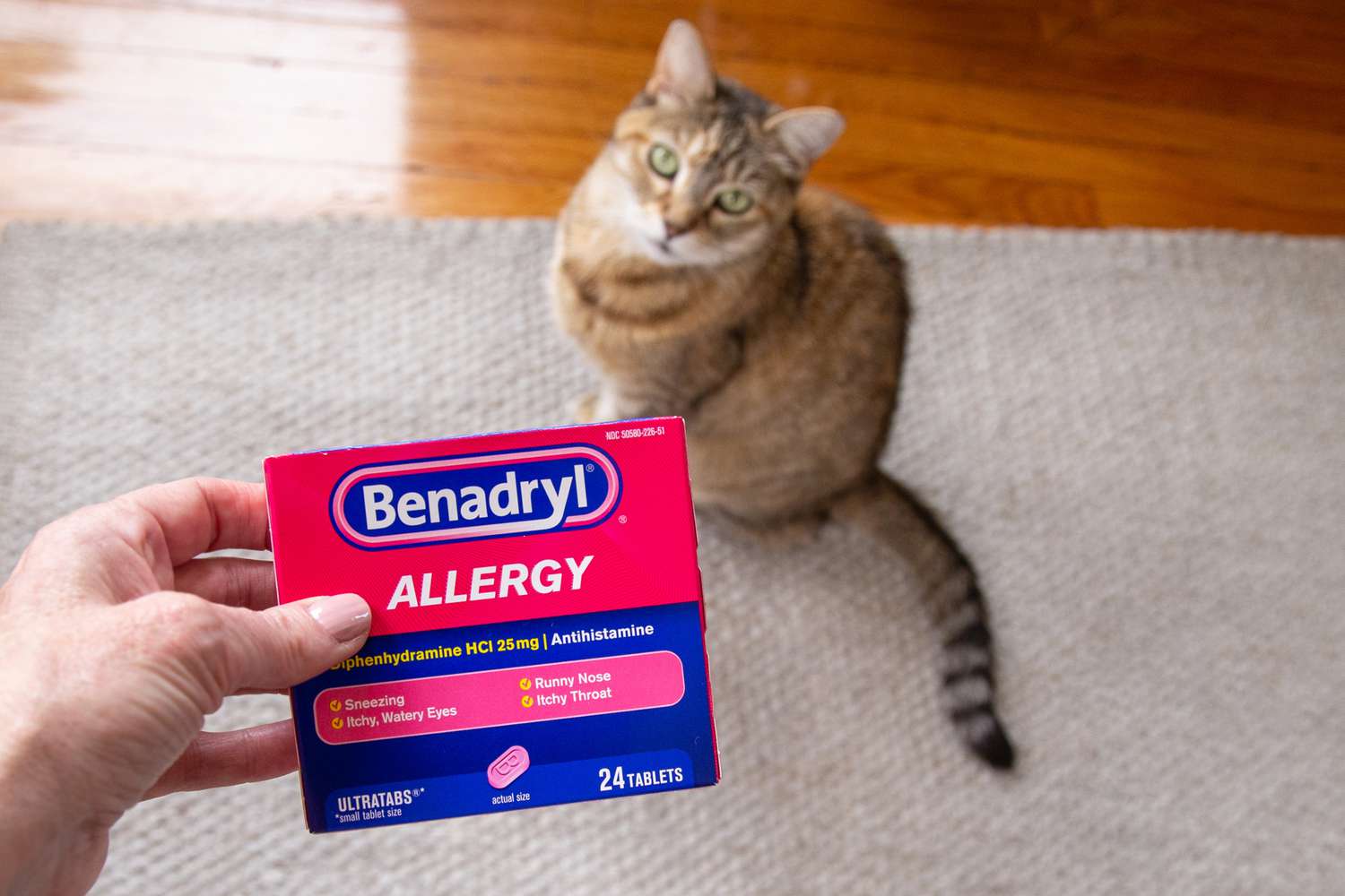 Benadryl allergy box held up in front of brown and white cat sitting on a tan rug