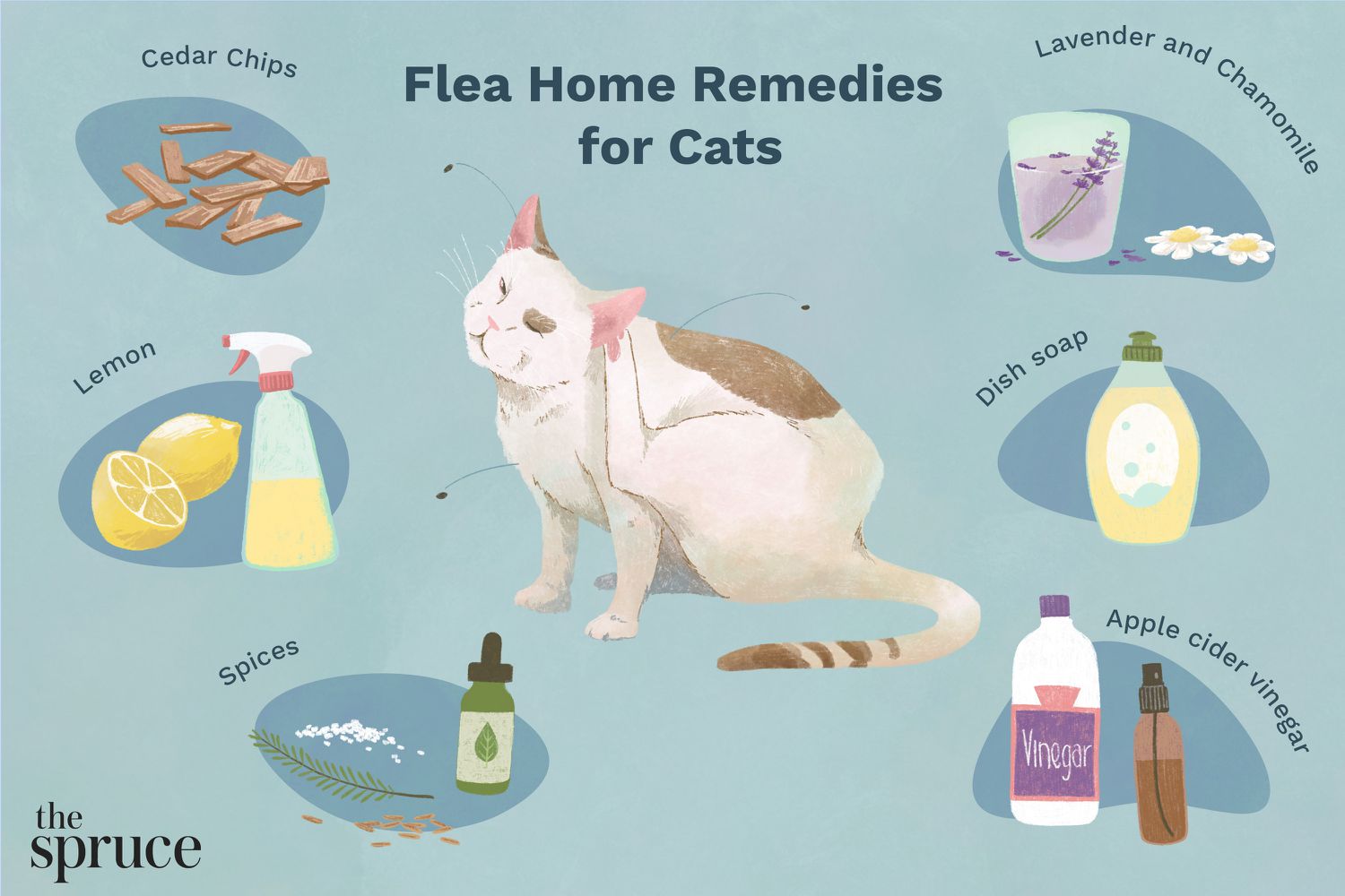 9 remedios caseros naturales para las pulgas en gatos