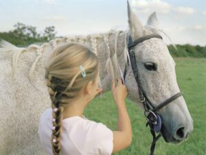 Cómo entrenar la melena de tu caballo para que se acueste sobre un lado