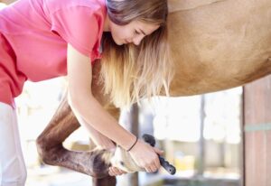 Cómo limpiar los cascos de su caballo y por qué debería hacerlo