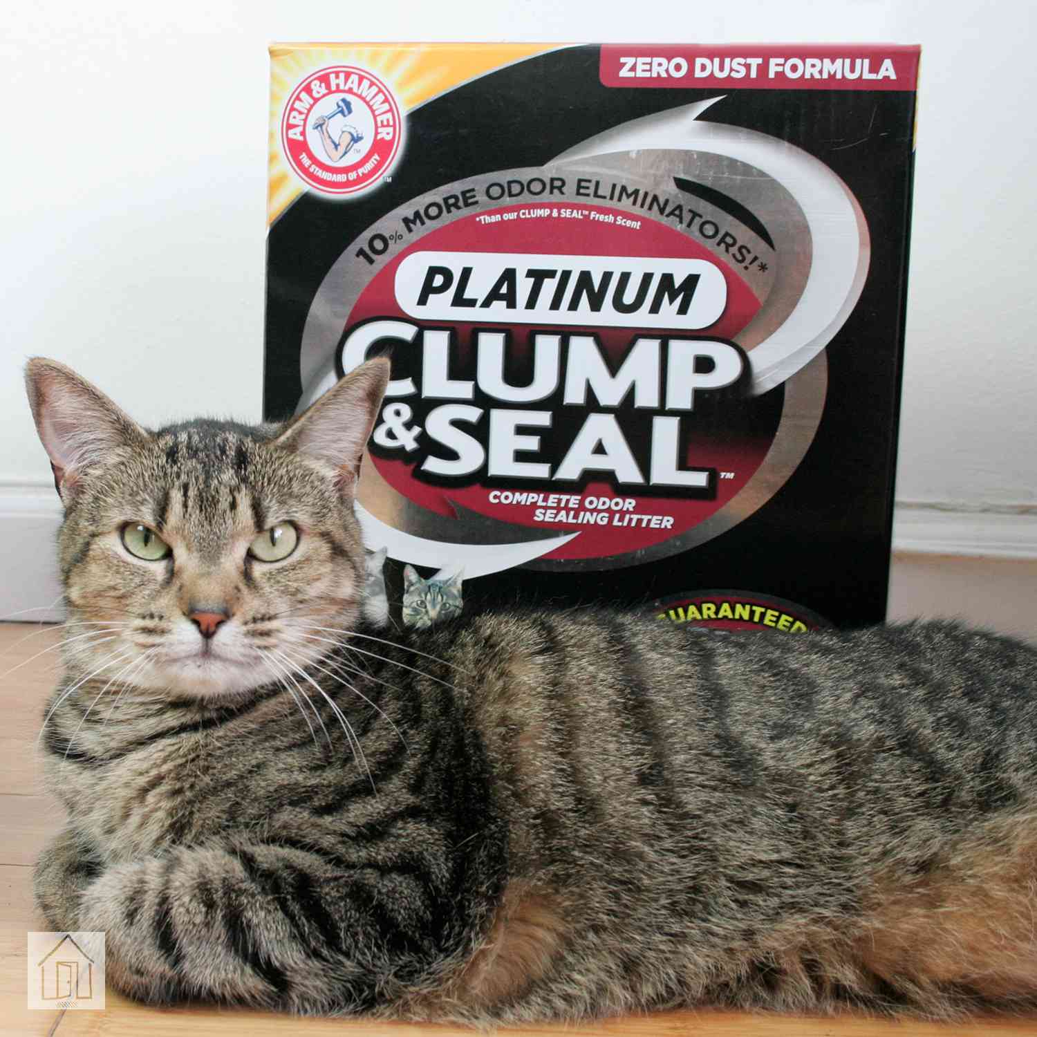 La arena para gatos Arm & Hammer Clump & Seal realmente detiene los olores