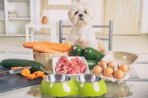 Recetas caseras de comida para perros aprobadas por veterinarios