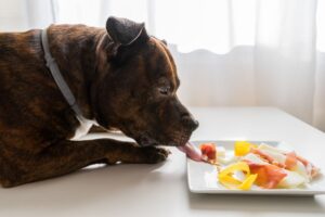 ¿Puede mi perro comer jamón?